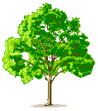 tree.gif (4775 bytes)